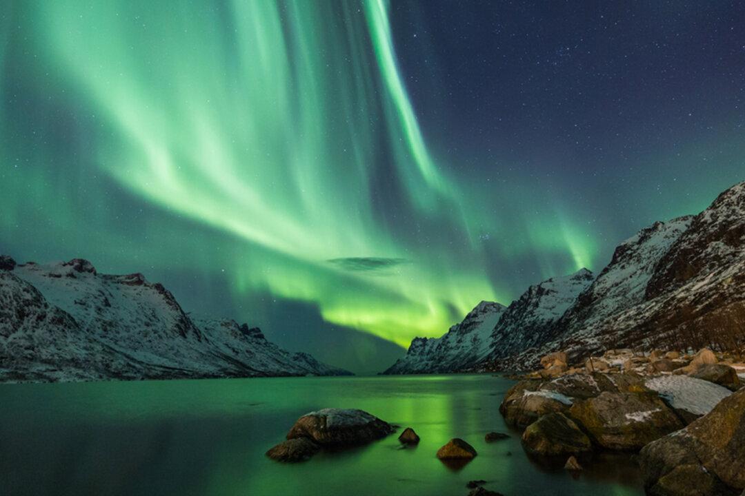 Stunning Image of Giant Phoenix-Shaped Aurora Captured Amid the Northern Lights
