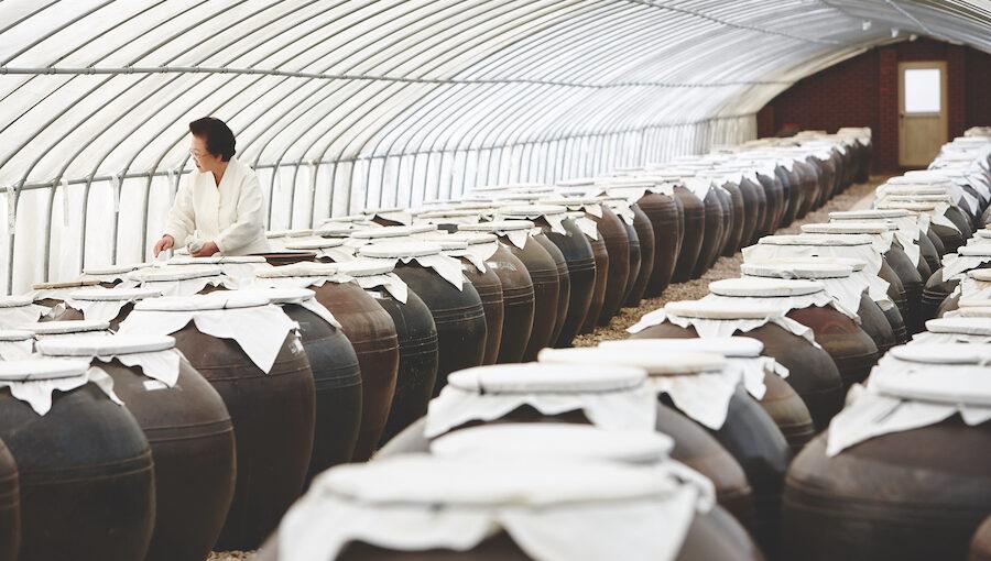 Get to Know Doenjang, a Cornerstone of Korean Cooking