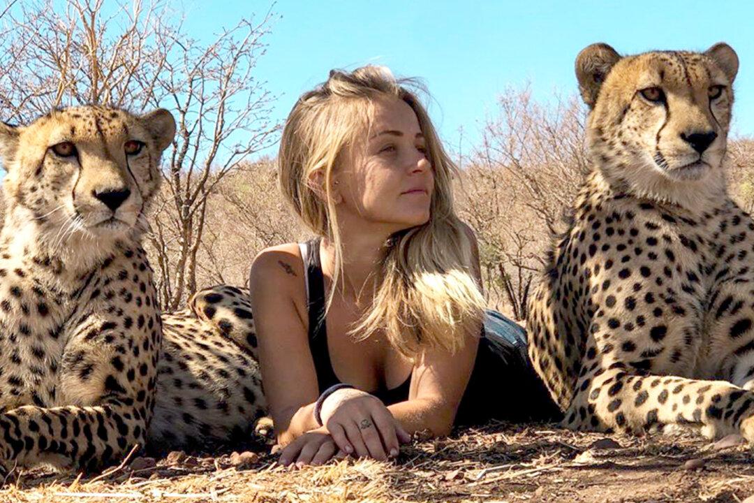 Girl Raised With Cheetahs Nurses Big Cats and Predators Back to Health
