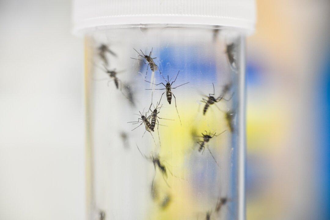 West Nile Virus Detected in Dead Crow Found in South Pasadena