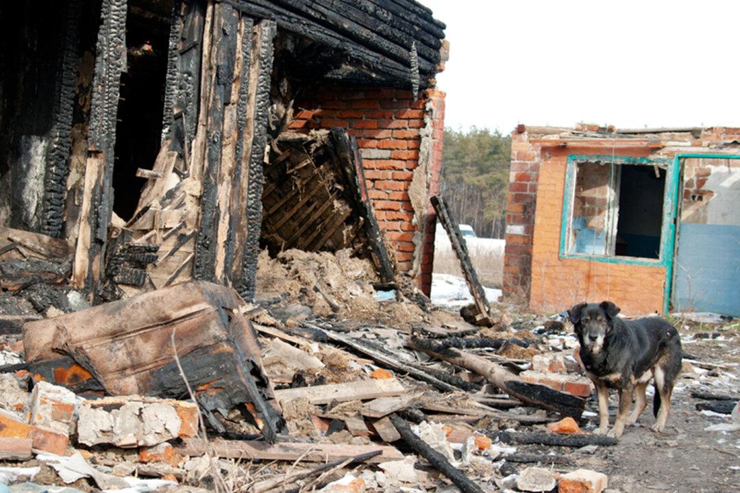 Courageous Dog Owner Dies After Running Into Burning House to Rescue Six Puppies