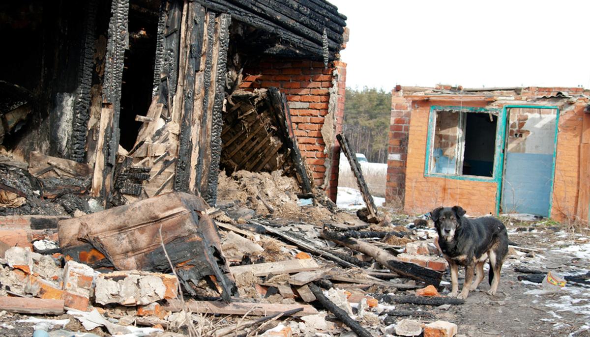 Courageous Dog Owner Dies After Running Into Burning House to Rescue Six Puppies