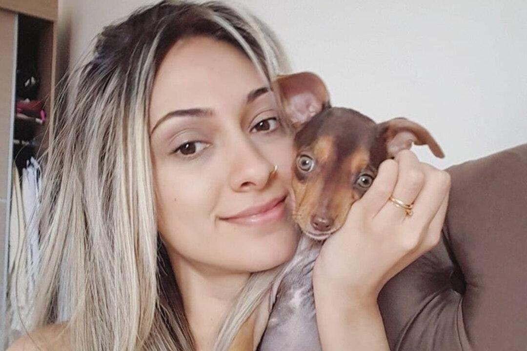 Dog Steals Grandma’s Dentures, Gets Caught When Owner Sees Her Toothy Grin