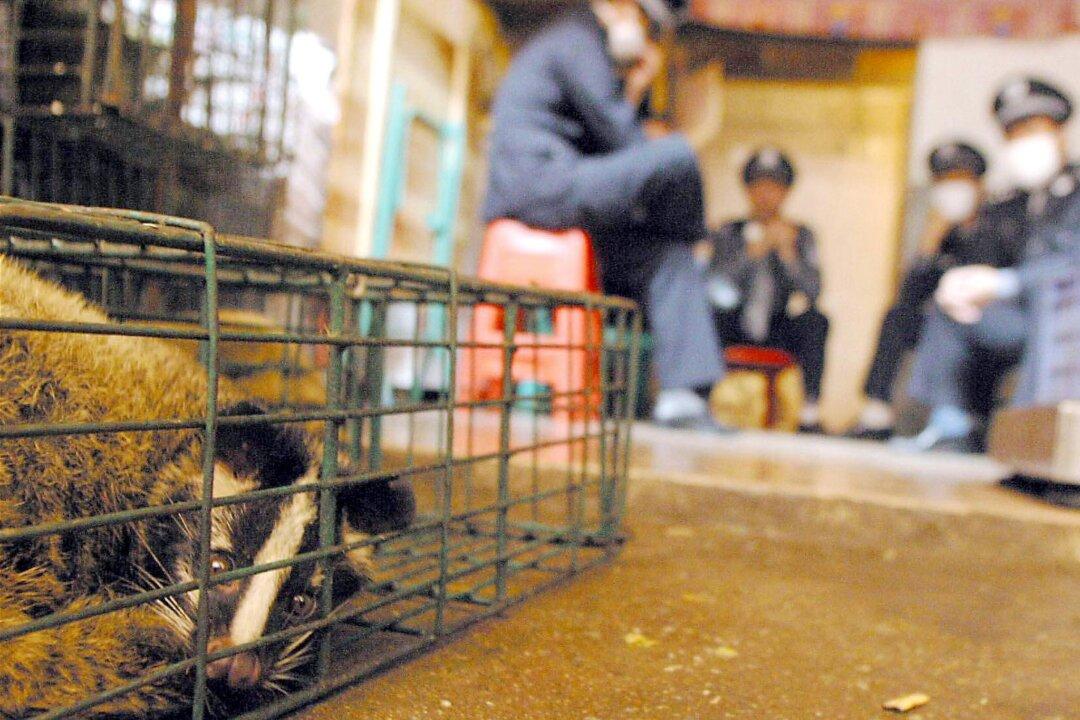 China’s Official Narrative on Wuhan Wet Market Contradicted by Leaked Document