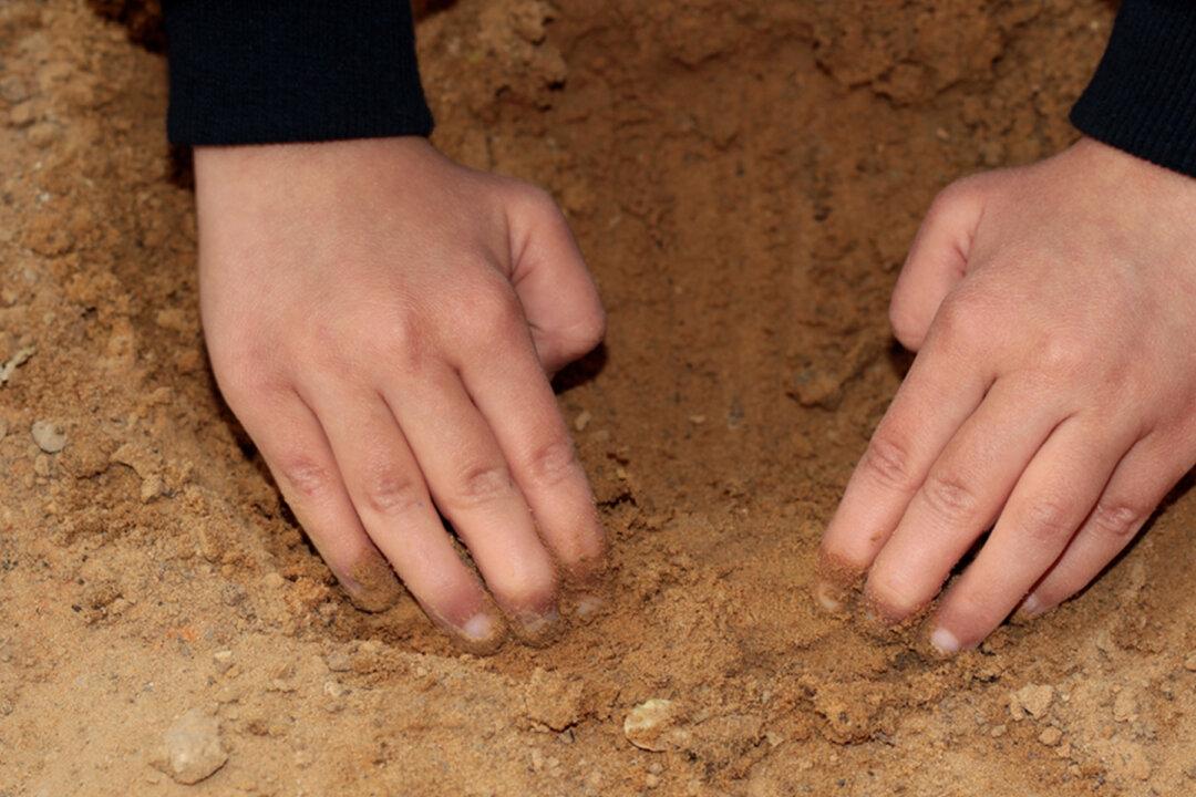 Newborn Baby Rescued by Villagers After Being Buried Alive in Mud, Survives Against the Odds