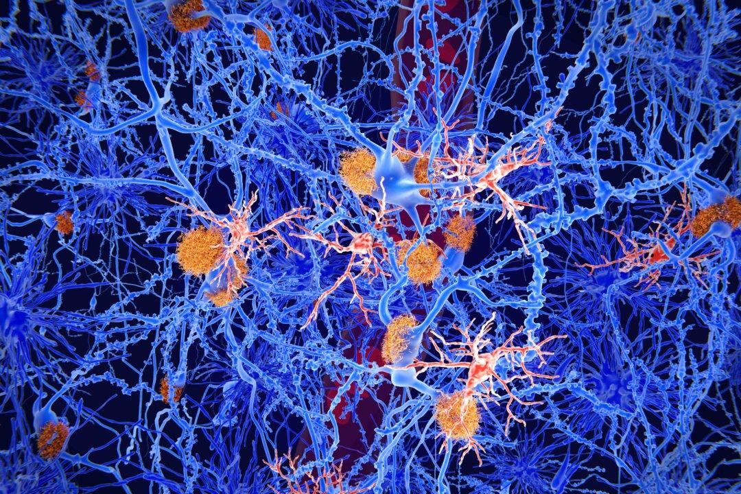 How Brain’s ‘Immune Cells’ Can Fight Meningitis, Alzheimer’s—or Backfire
