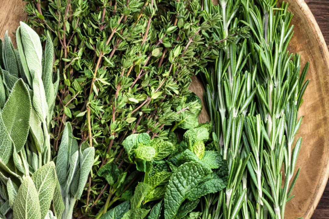 A Beginner’s Guide to Tuscan Herbs