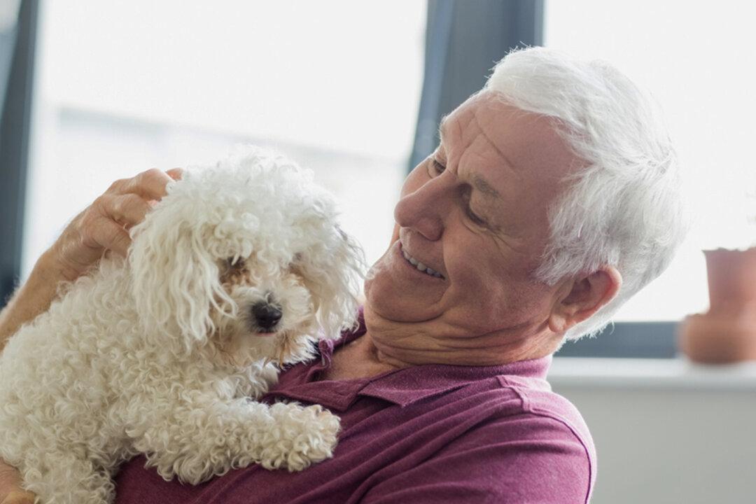 Grandpa Brings Dog Along to Test New Furniture Purchase to Make Sure She Likes It Too