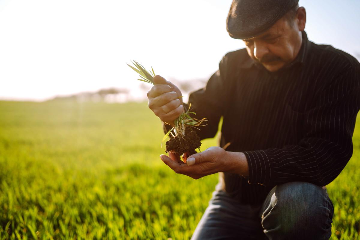 It’s Time to Rethink Our Food System