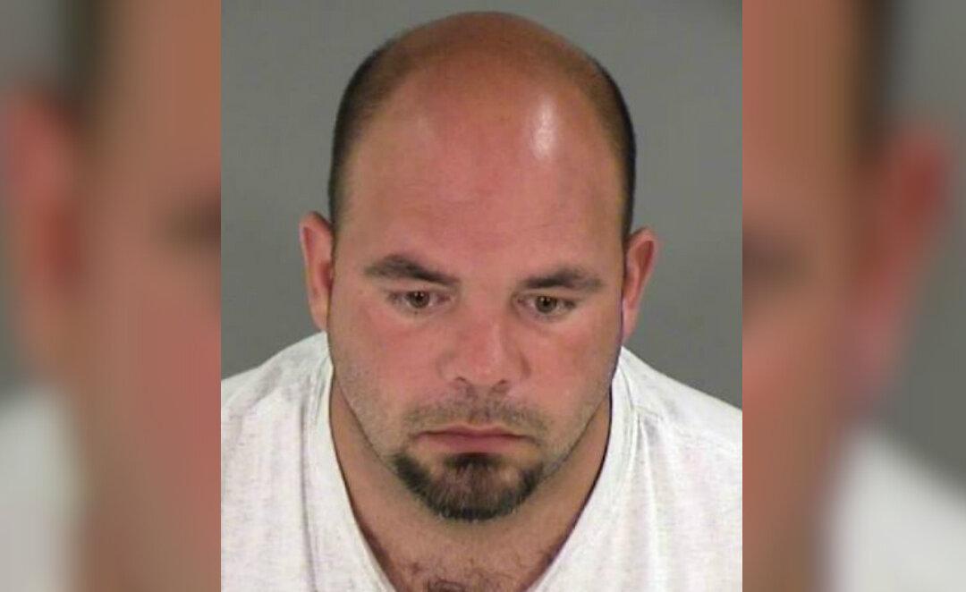 Virginia Man Who Drove Into Black Lives Matter Protesters Jailed for 6 Years