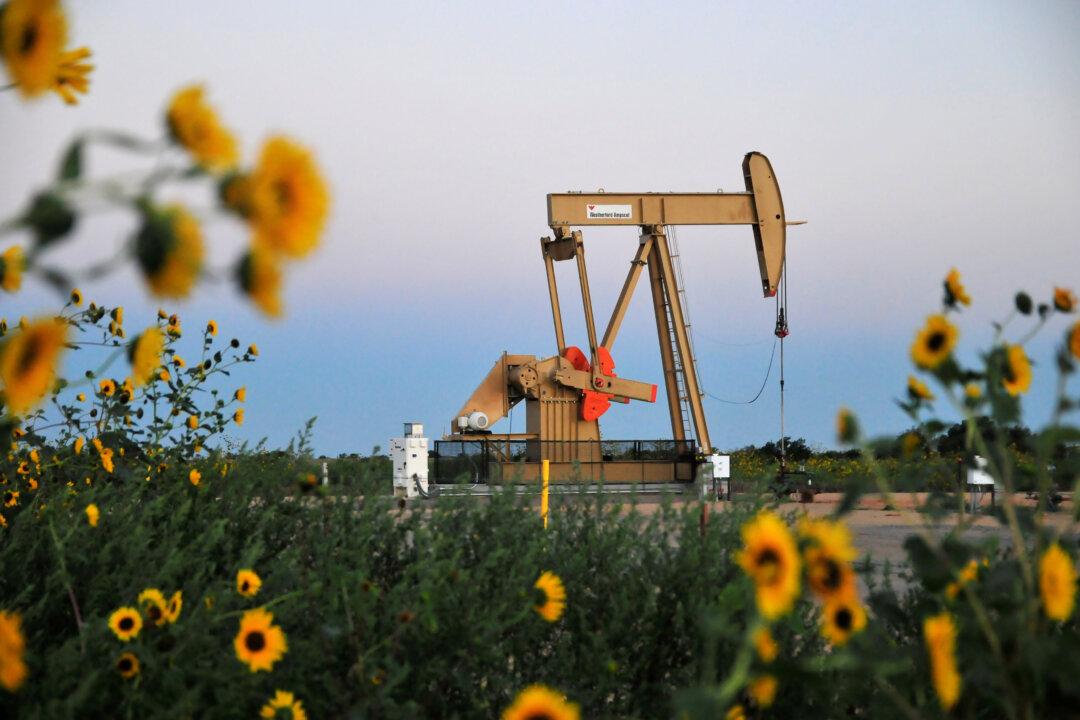 Oil Falls as Expectations Rise for OPEC to Ease Production Cuts