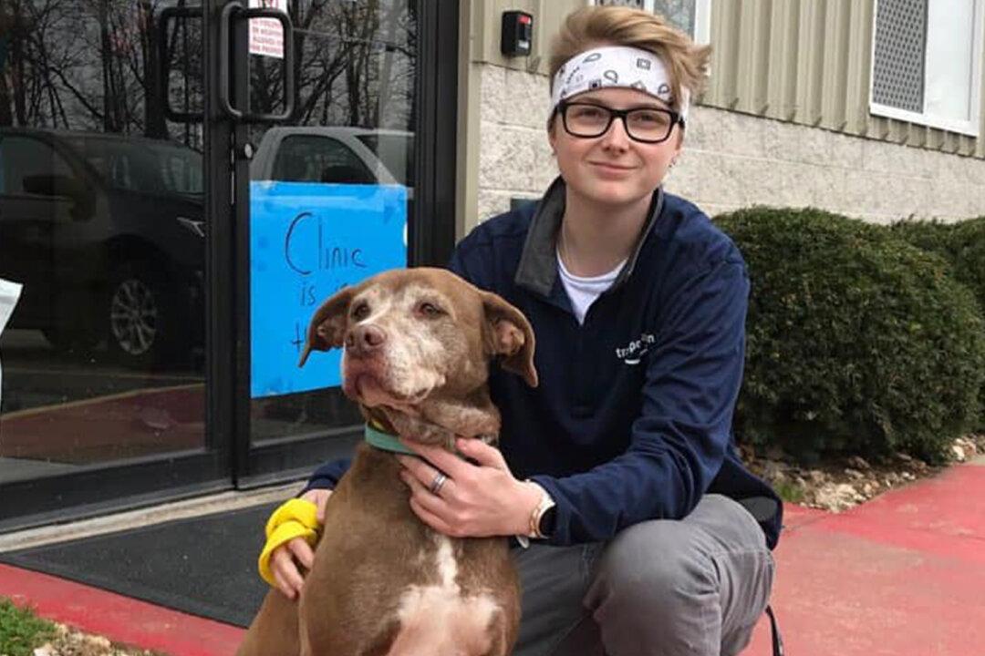 Dog That Waited for More Than 7 Years in a Shelter to Be Adopted Thrives at Forever Home