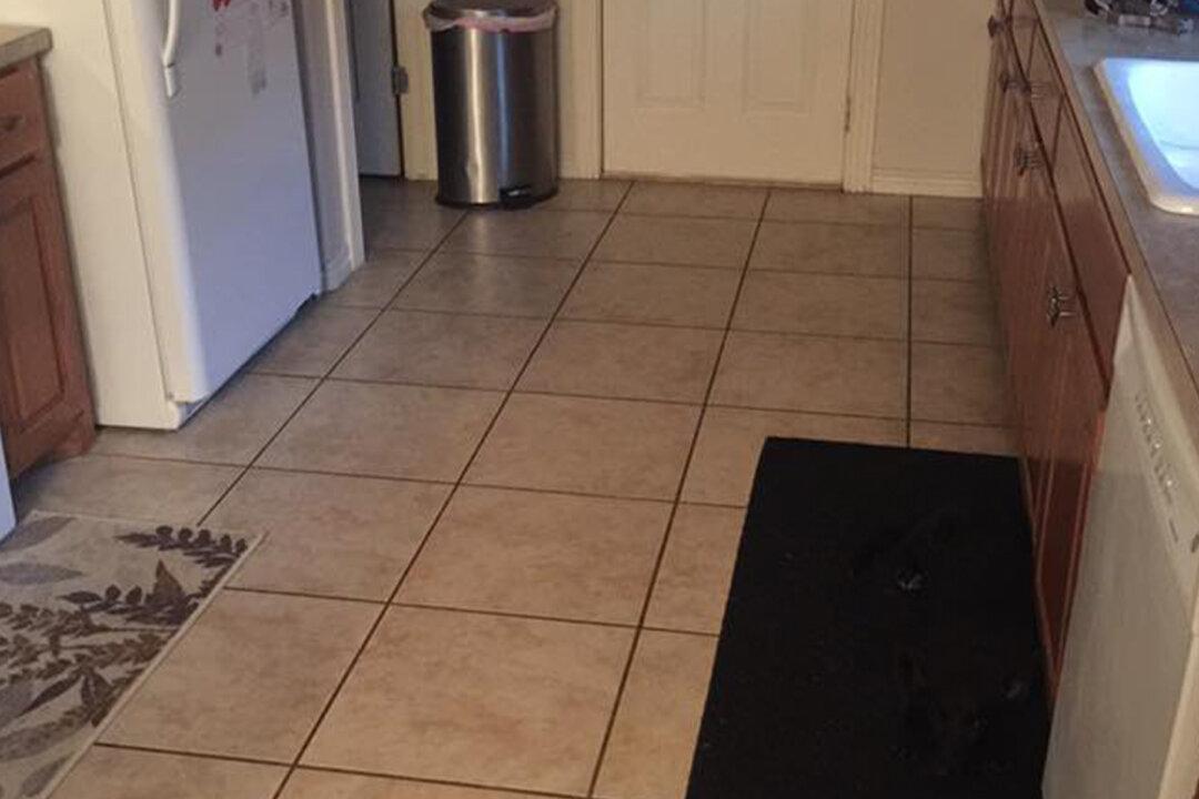 ‘Invisible’ Dog Has the Internet Stumped–Can You See the Dog Hiding in the Kitchen?