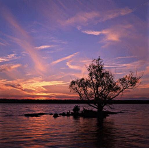 Classical Art Principles Transform a Filmmaker’s Craft