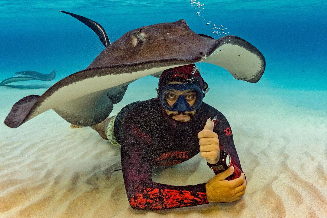 Helpful Stingray Uses Its Body as a Tent for Diver During Underwater Photoshoot on Ocean Floor