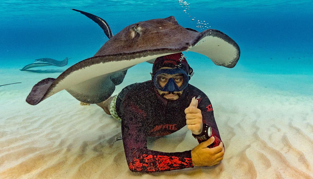 Helpful Stingray Uses Its Body as a Tent for Diver During Underwater Photoshoot on Ocean Floor