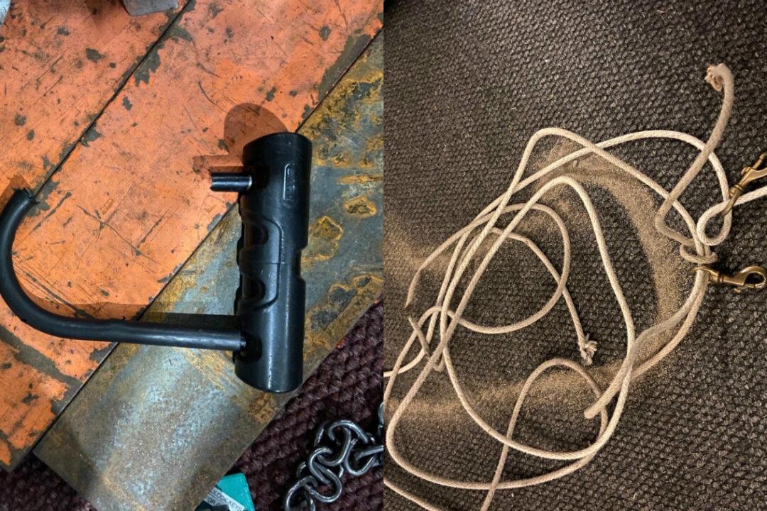 Activists Lock Police Precinct Doors in Portland, Burn American Flag