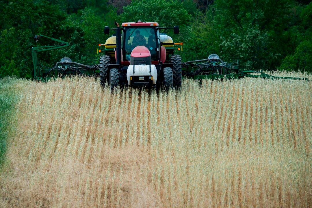 IN-DEPTH: Questions About Genetically Modified Crops as Agriculture’s ‘Silver Bullet’ Solution to Climate Change