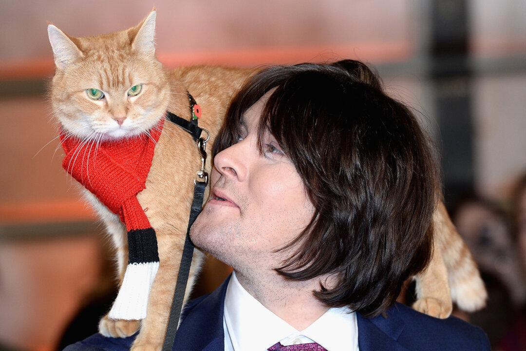 Street Cat Named Bob Who Helped Heroin-Addict Owner Turn His Life Around Dies at Age 14