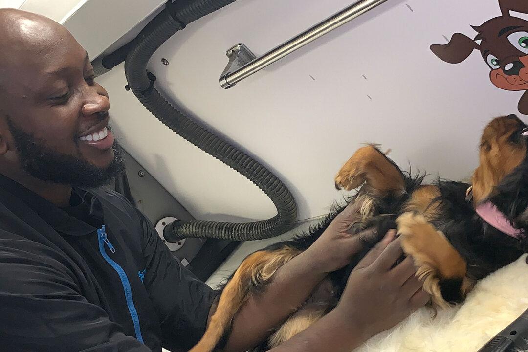 The ‘Dogfather of Harlem’ Offers Free Grooming Services to Pet Owners Impacted by the Pandemic