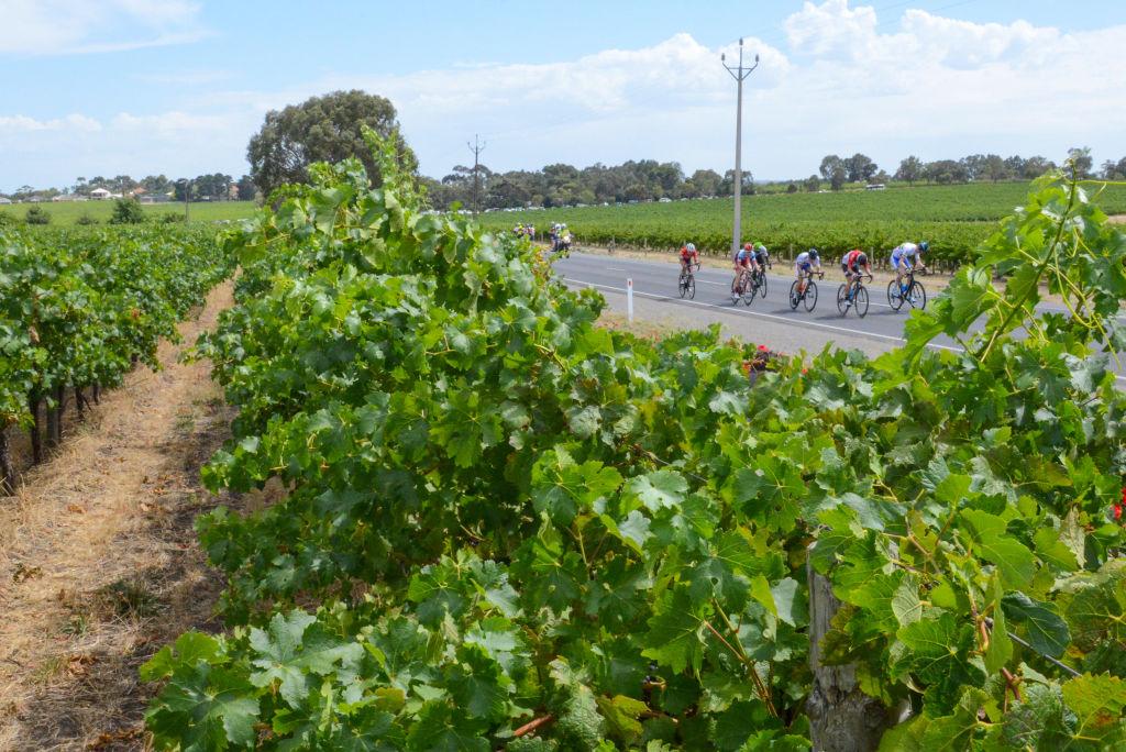 $86 Million New Government Grants to Help Fruit and Forestry Recovery