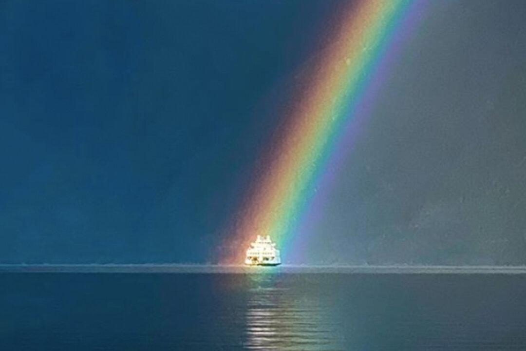 BC Man Captures Perfectly Timed Photo of Ferry Sailing ‘Through’ a Rainbow With iPhone