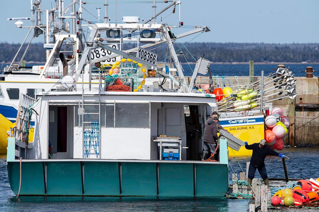 China’s COVID-19 Testing Demands Choking Off Canadian Lobster Exports