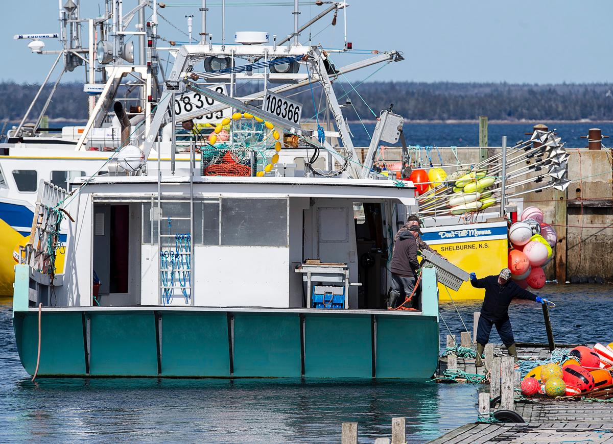 China’s COVID-19 Testing Demands Choking Off Canadian Lobster Exports