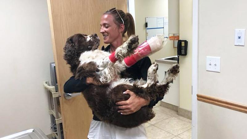 Woman Who Carried 55lb Hurt Dog Down a Mountain for 6 Hours Cannot Let Go