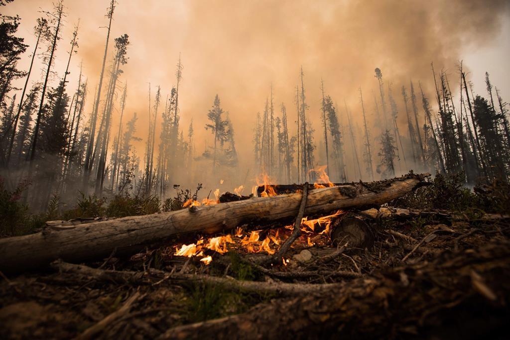 University of B.C. Study Warns Wildfire Smoke Could Make COVID-19 Symptoms Worse