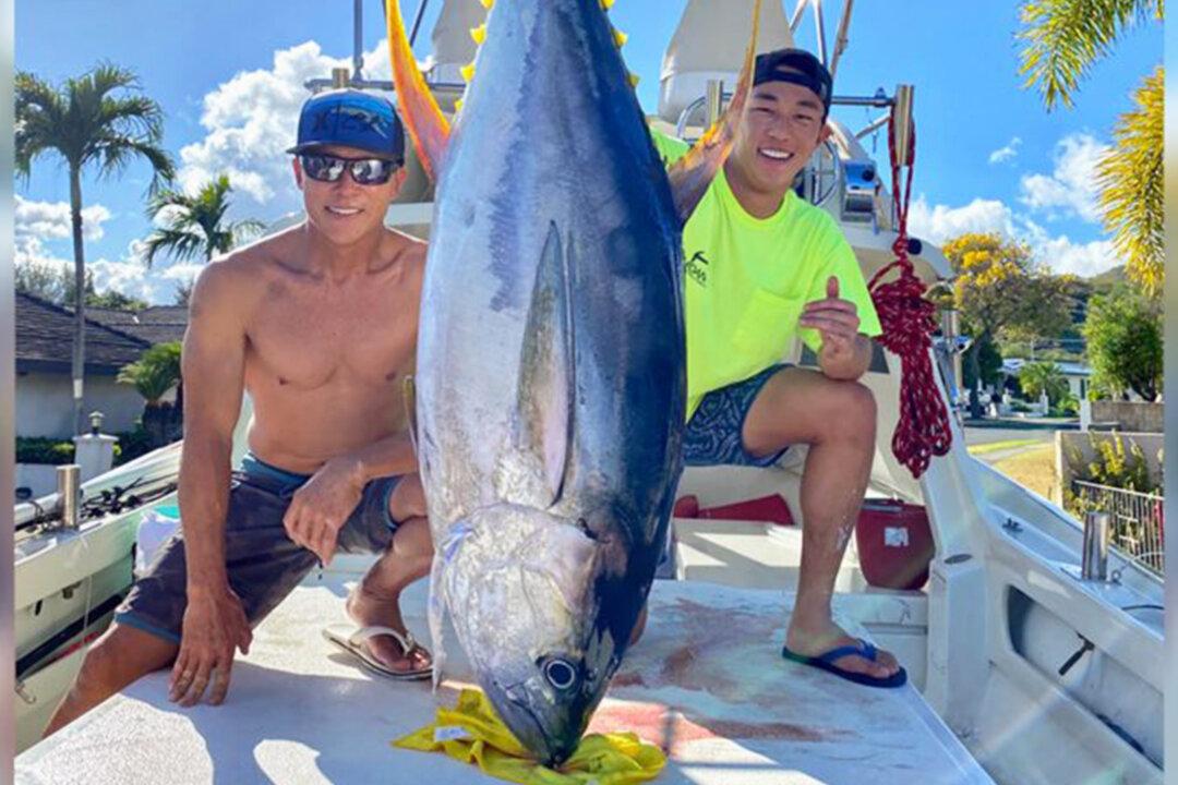 Fishermen in Hawaii Caught 220 Pounds of Tuna and Donated It to Health Care Workers