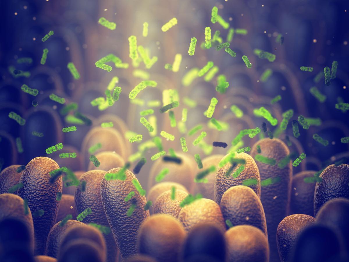 Innovative New Method May Allow Doctors to Target ‘Bad’ Gut Microbes