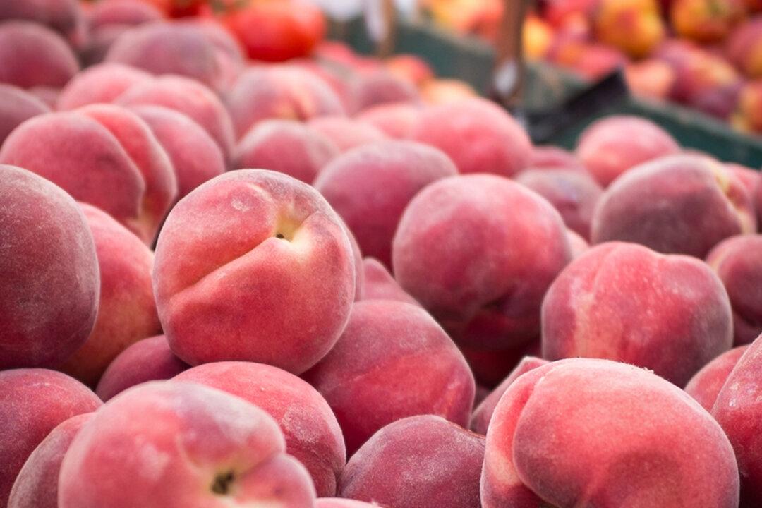 Georgia Peach Farmers’ COVID Woes Evaporate as Reopening Yields Unusually Bountiful Harvest