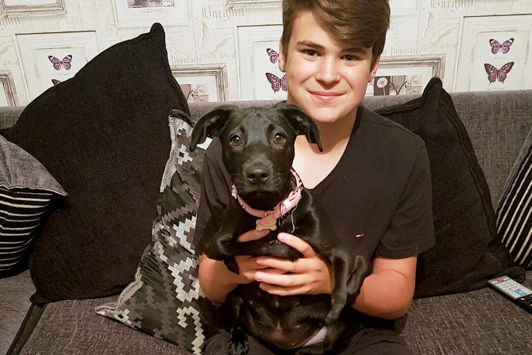Six-Legged Dog Finds Forever Home With a Bullied Teen: ‘Love at First Sight’