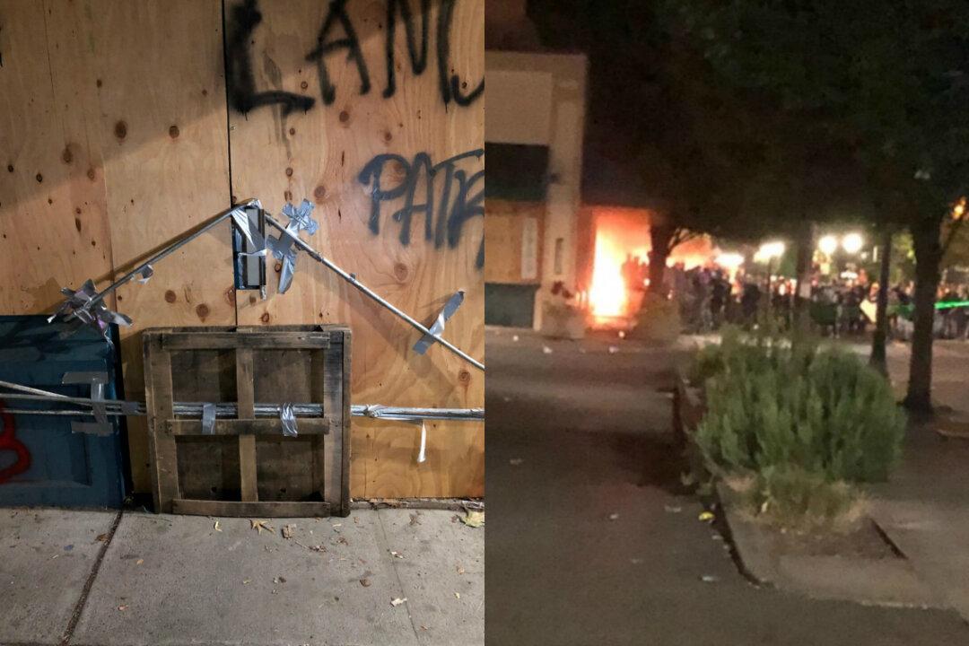 Rioters Set Fires, Loot, Damage Businesses in Portland: Police