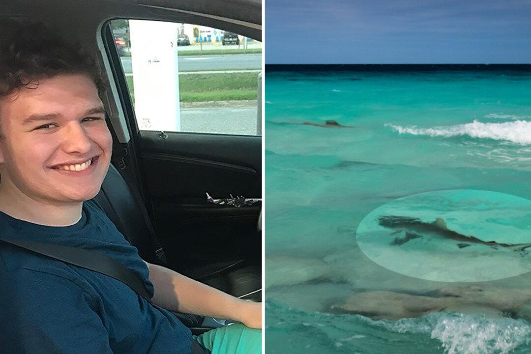16-Year-Old Boy Fights Off Shark That Latched Onto His Thigh While Swimming in North Carolina
