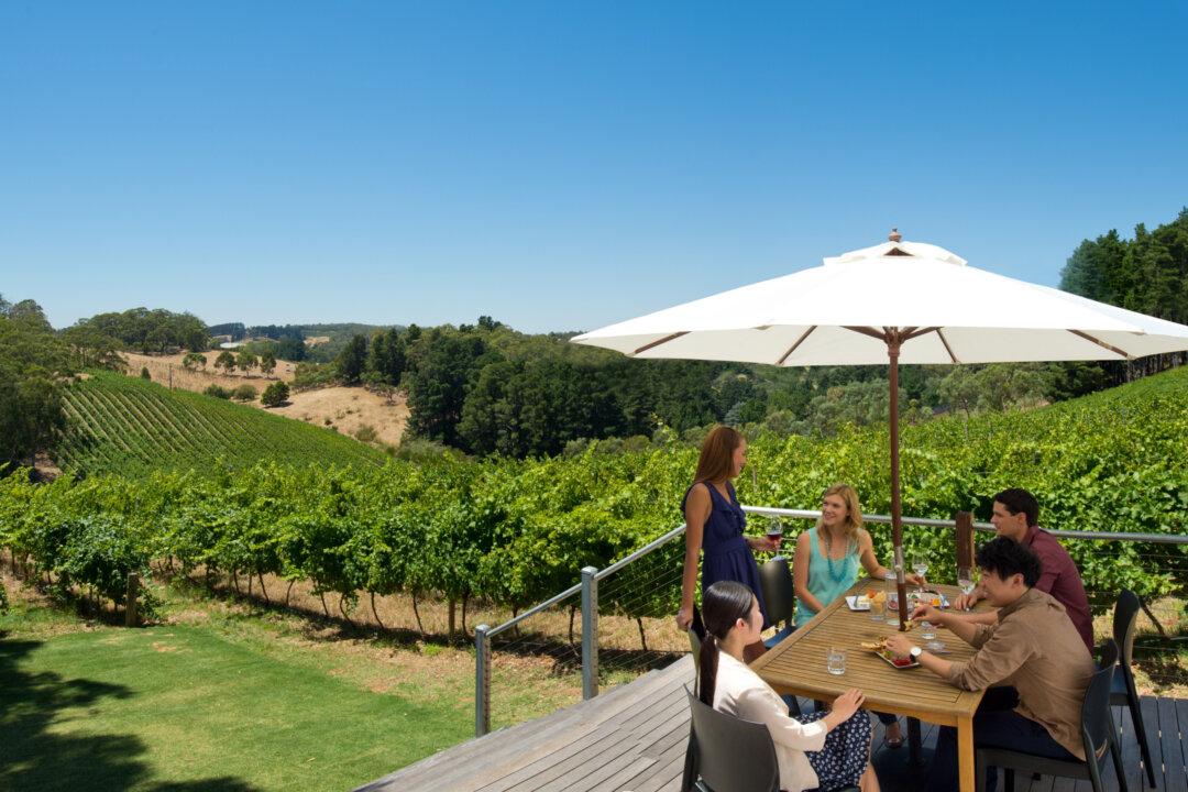 More Tourism Jobs to Flow From SA Grants