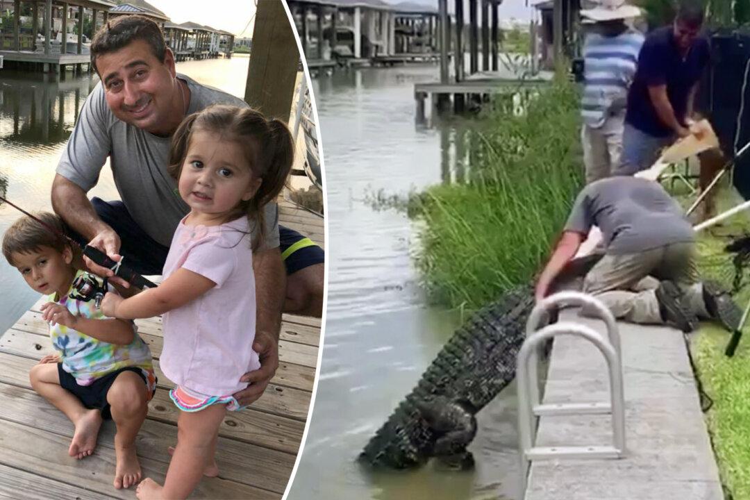 Dad Saves 4-Year-Old From 11-Foot Alligator in Creek Near Family Home, and Sees Reptile Relocated