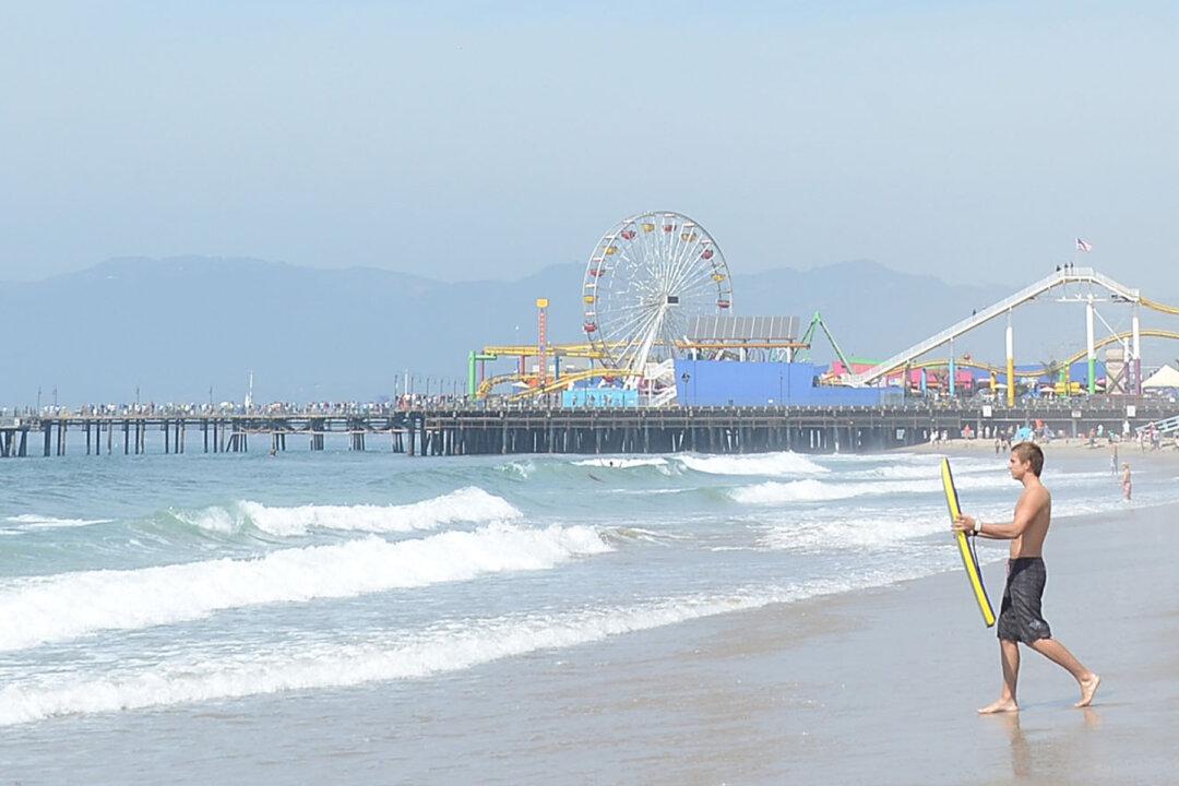 Lifeguards Spot Single-Prop Plane Crash Into the Ocean, Then Dive In to Save Injured Pilot