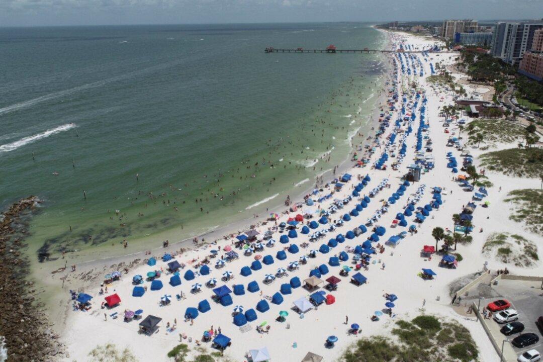 Giant Seaweed Blob Carrying Harmful Algal Bloom Heads Toward Florida Coast