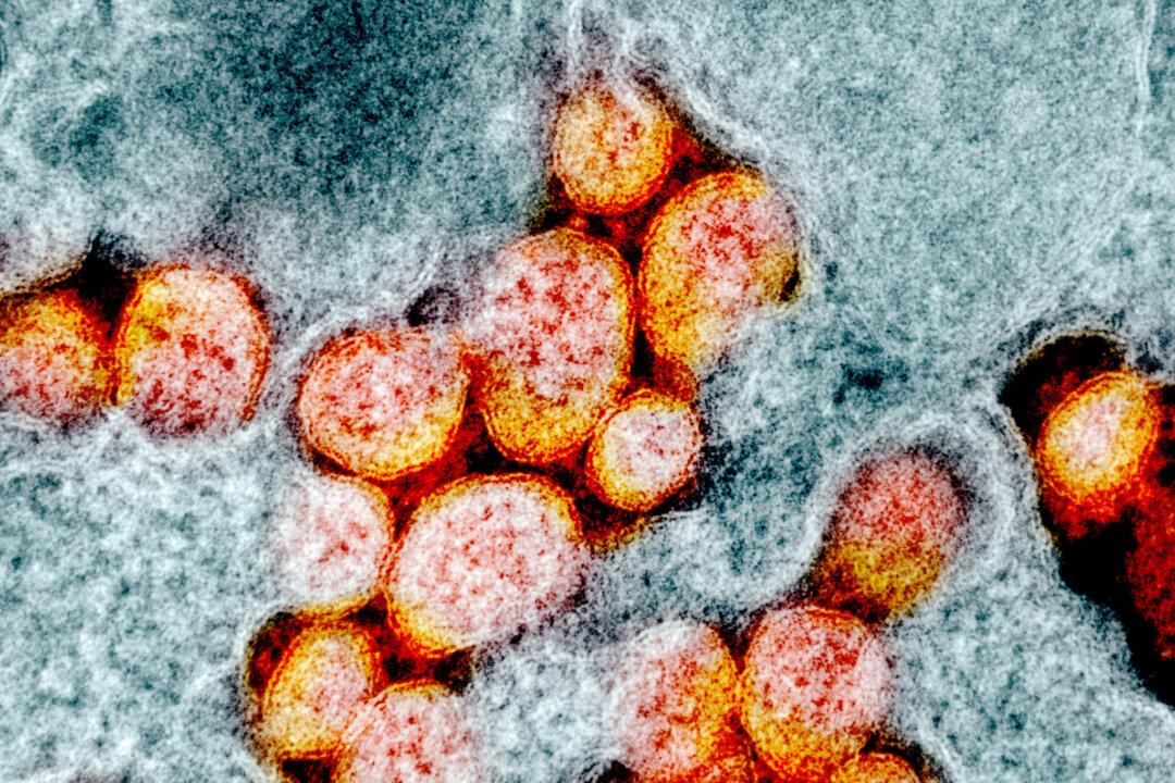 Hundreds of Scientists Say CCP Virus Is Airborne, Urge WHO to Revise Recommendations