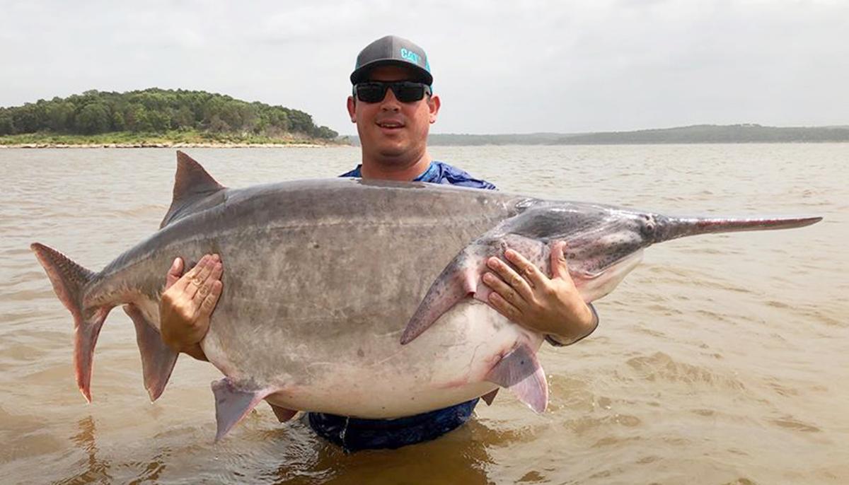 Oklahoma Angler Reels In World Record-Breaking Paddlefish, Weighing 146.7 Pounds
