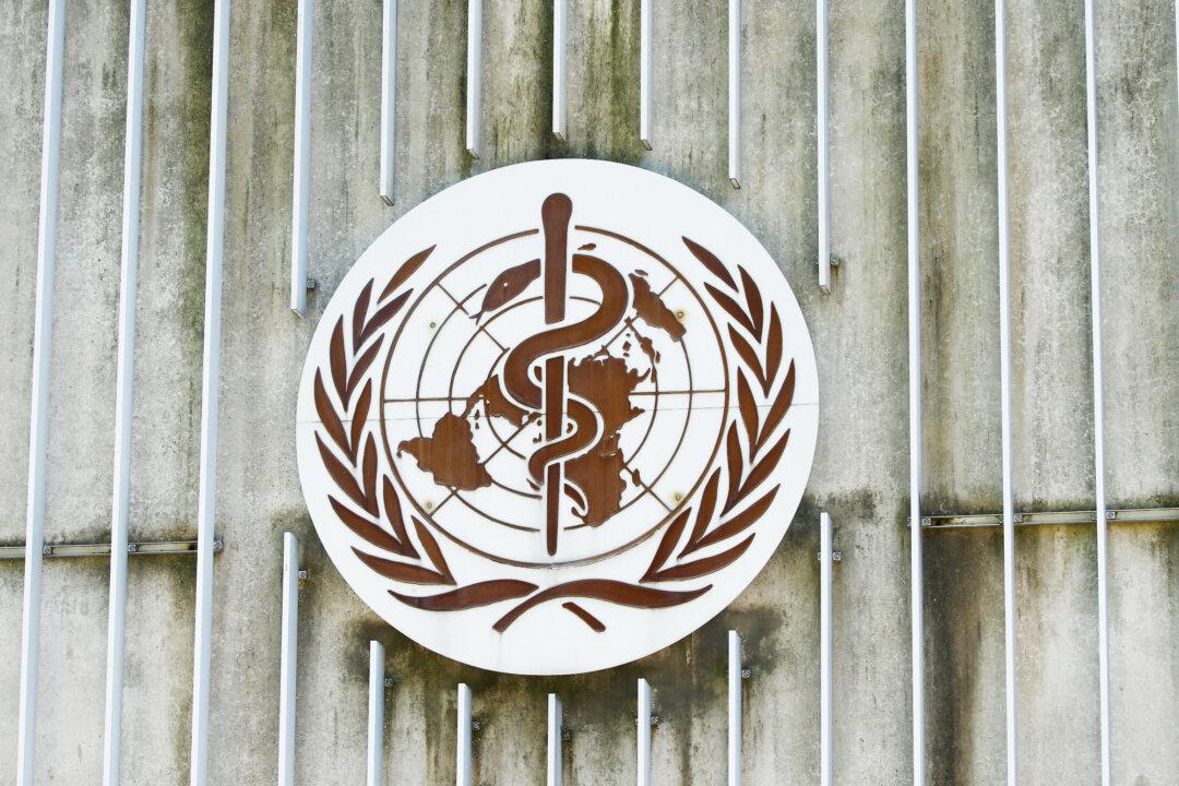 Gates or Germany? Who ‘Owns’ the WHO’s COVID-19 Response?