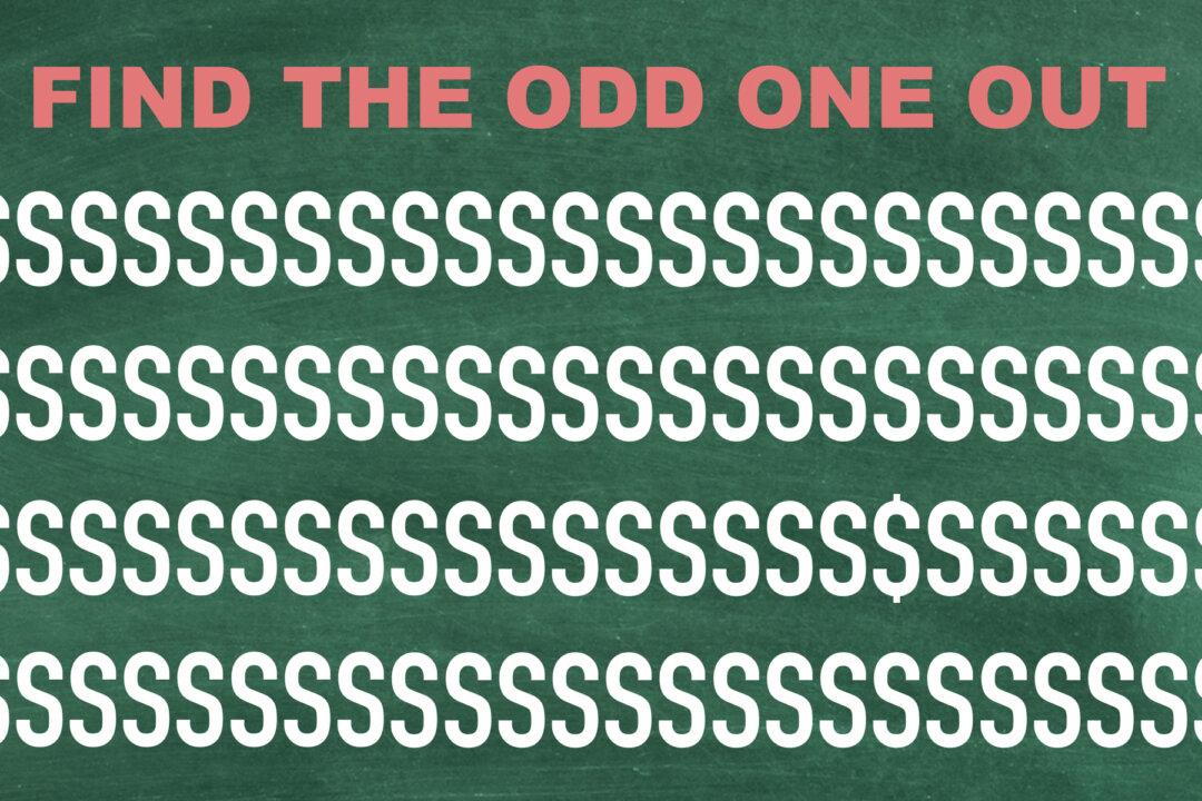 You’re Probably a Genius If You Can Find the Odd One Out in 10 Seconds or Less