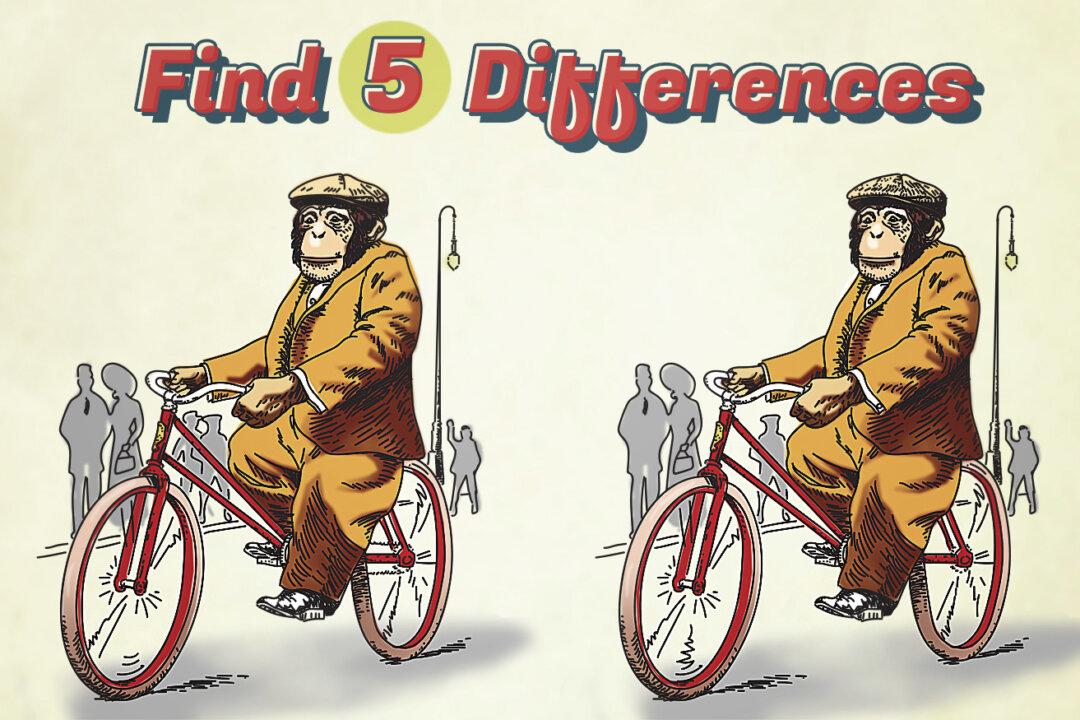 Can You Spot 5 Differences in This Cartoon of a Monkey Riding a Bicycle? Experts Only