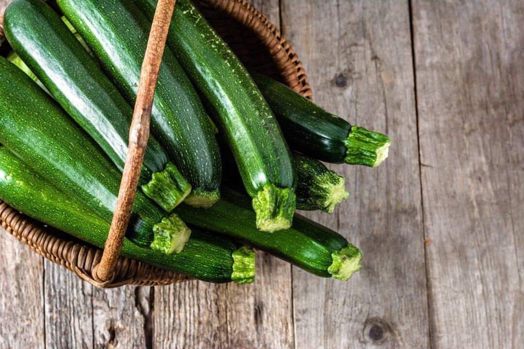 The Season of (Getting Rid of) Zucchini
