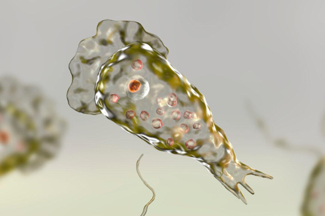 Disaster Declared After Brain-Eating Amoeba Found in Tap Water in Texas City