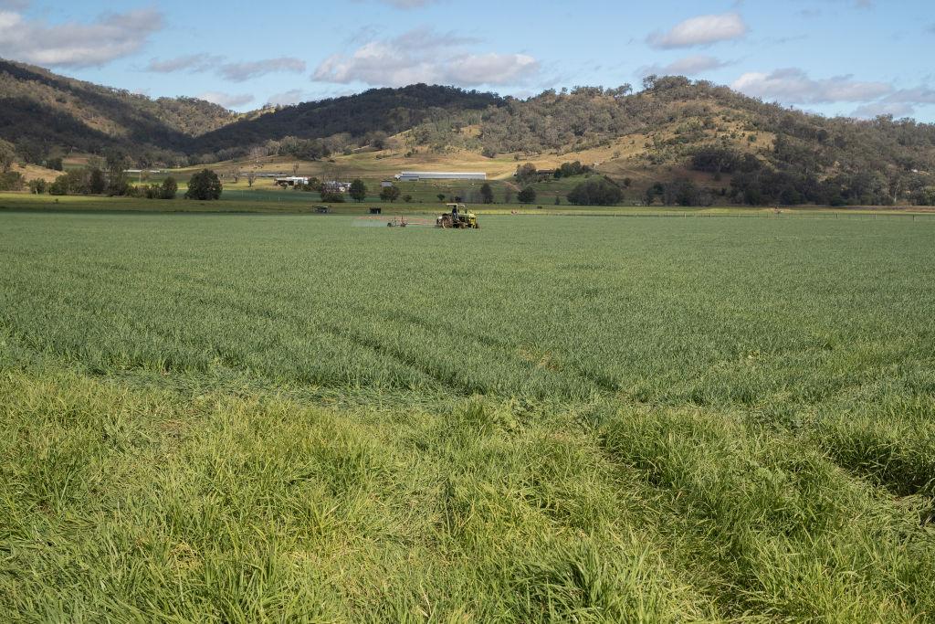 New South Wales Lifts Moratorium on GM Crops
