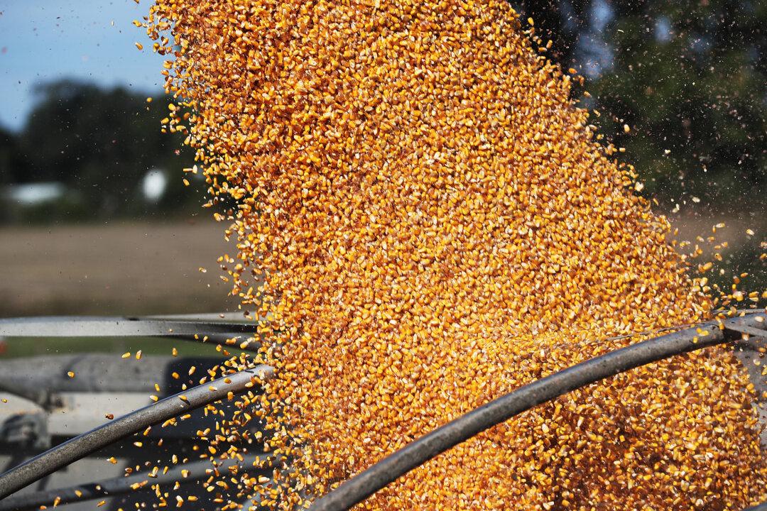 How Inflation Is Wrecking Your Diet and Health