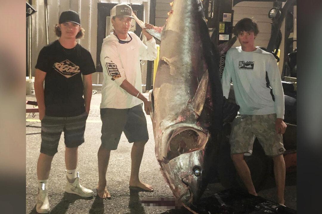 Teen Fishermen Reel In 700-Pound Bluefin Tuna After 7-Hour Fight Off Coast of Maine
